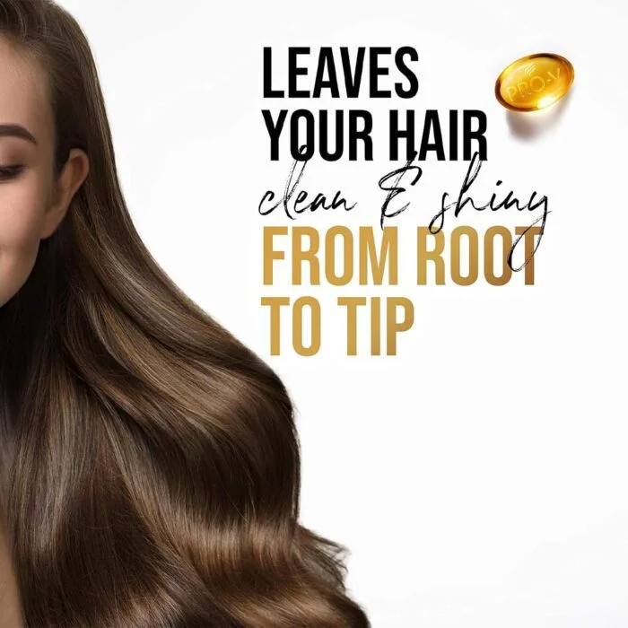 Pantene Shampoo Daily Care 1000 ml - Image 3