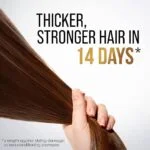 Pantene Shampoo Daily Care 1000 ml - Image 5