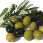 اكسا مايونيز الشعر بزيت الزيتون 521 مل | أوتلت بترا كير - EXA hair mayonnaise with olive oil 521ml | Petra Care Outlet