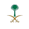 لوجو سيفين ونخلة