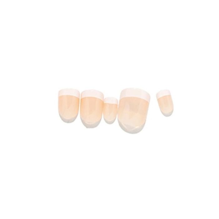 ⁦لوكا اظافر صناعية رقم 20 لصق ذاتي لون فرنسي شكل الطبيعي⁩ - الصورة ⁦3⁩